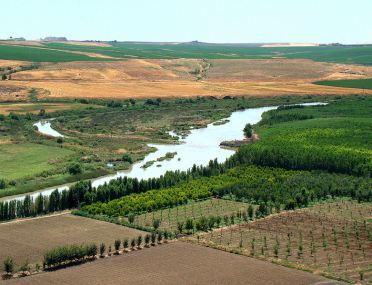 Modern fields along the Tigris